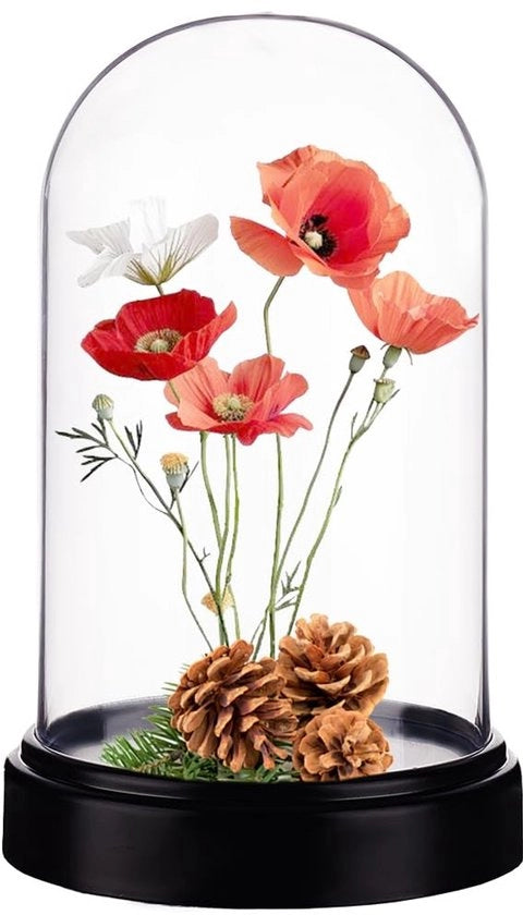 Vetrina a Cielo Aperto 11,6 x 18,5 cm - Vetrina - Cloche - Terrario - Tavolo Decorativo - Base Nera