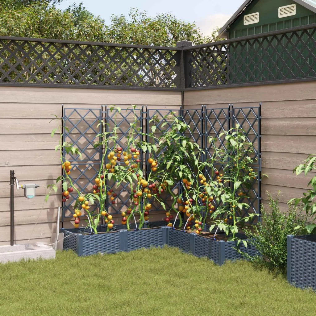 Fioriere | Cassetta per fiori | Vaso da giardino 5 pz Grigio 120 x 120 x 126 cm Plastica