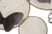 Pannello Butterfly Dark 66x5x38 cm in Ferro Multicolor