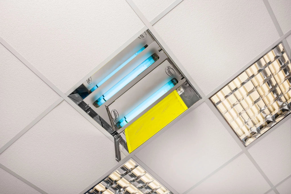Kit Zanzariera Elettrica da Incasso 60x60 cm 50W Trappen Luna 50 + 10 Cartoncini