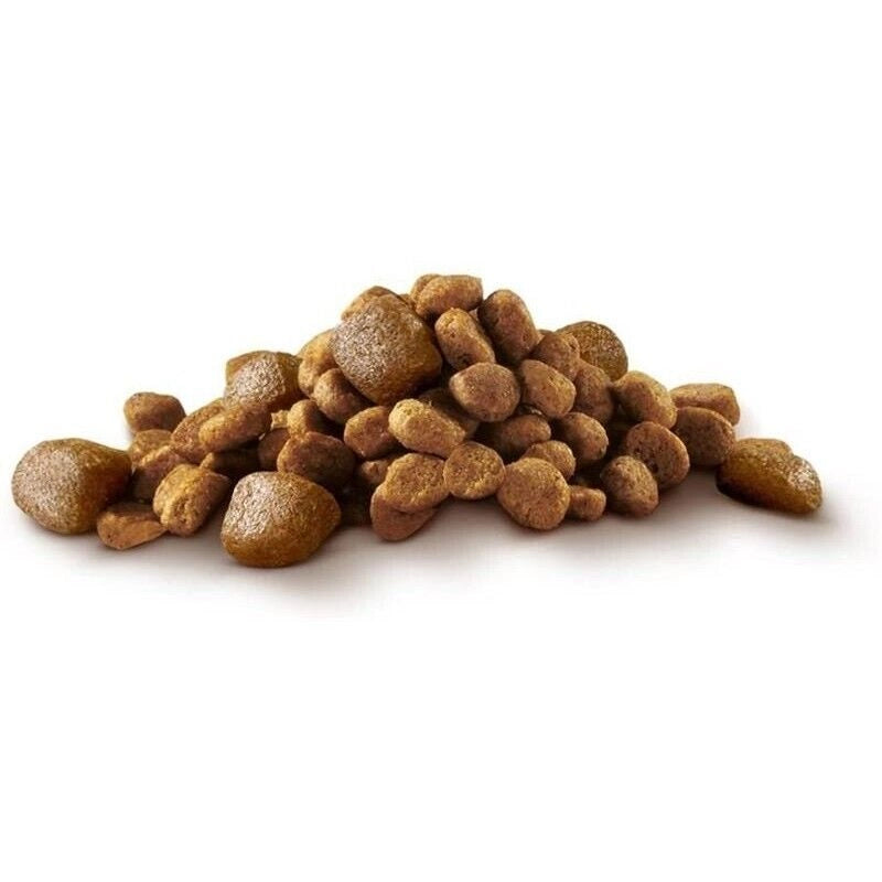 PURINA ONE MINI ACTIVE CROCCHETTE PER CANI TAGLIA SMALL CON POLLO E RISO 1,5 KG