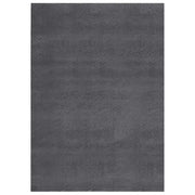 Tappeto del soggiorno | Tappeto Soffice Pelo Corto 160x230 cm Antiscivolo Antracite