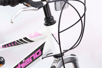 F.LLI SCHIANO RANGE 26" donna mountain bike telaio in alluminio ammortizzata  18 velocitÃ  rosa