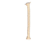 STOPPINI PER TORCE IN BAMBU'- - ø mm.8x120 per torce cm.35/90/120 conf.pz.6 - 5 busta LAPILLO