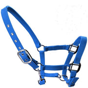 Cintura per Cavallo Adattabile - Disegno di Cavallo - Impermeabile - Nylon - Duraturo - Idonea per Puledro/Poni/Asino - Cintura per Cavallo