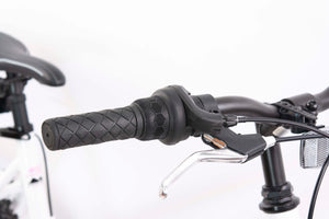 F.LLI SCHIANO RANGE 26" donna mountain bike telaio in alluminio ammortizzata  18 velocitÃ  rosa