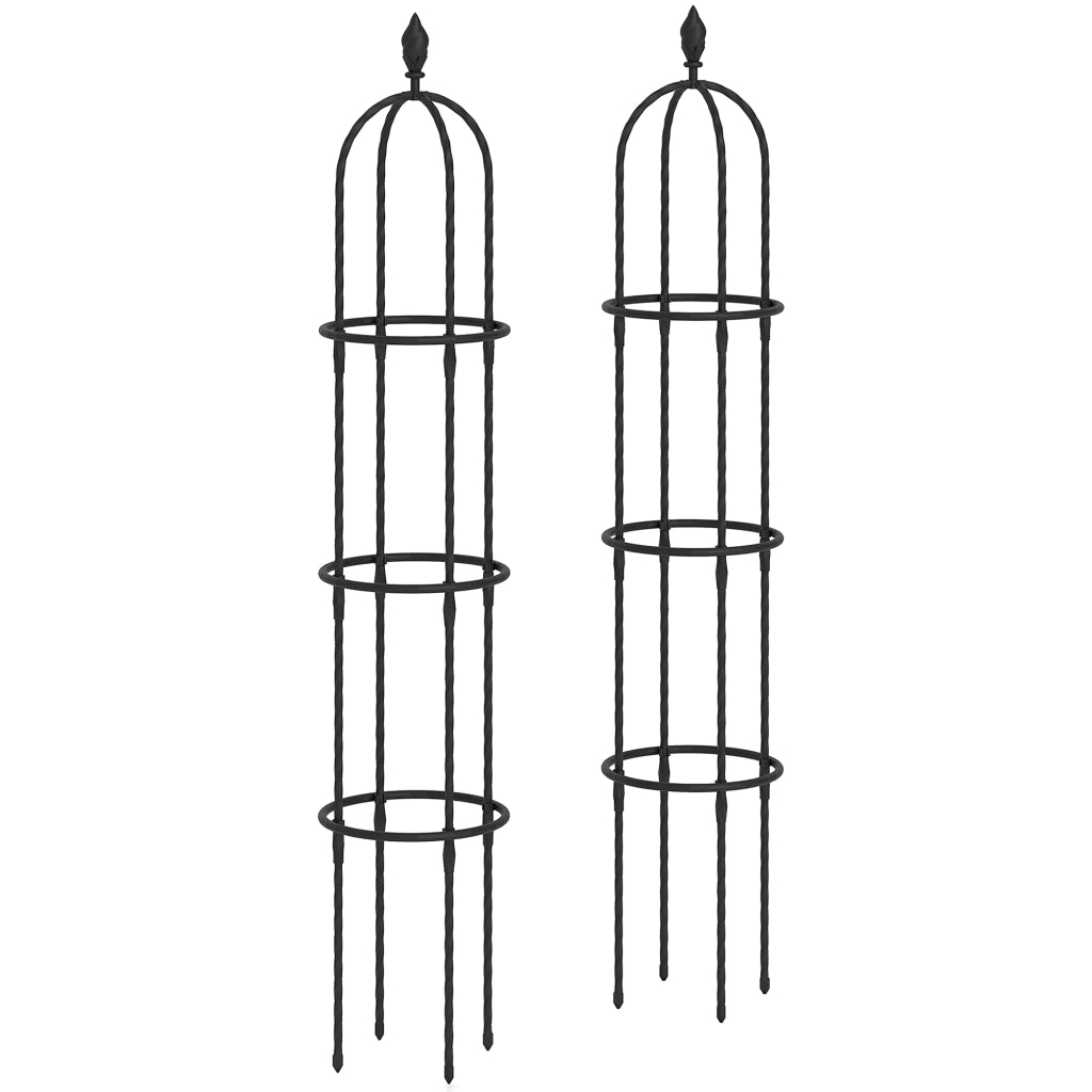 Supporti per Piante Rampicanti Set 2 Pezzi ¨C zephmum ¨C Acciaio Antiruggine Nero 1.7 m