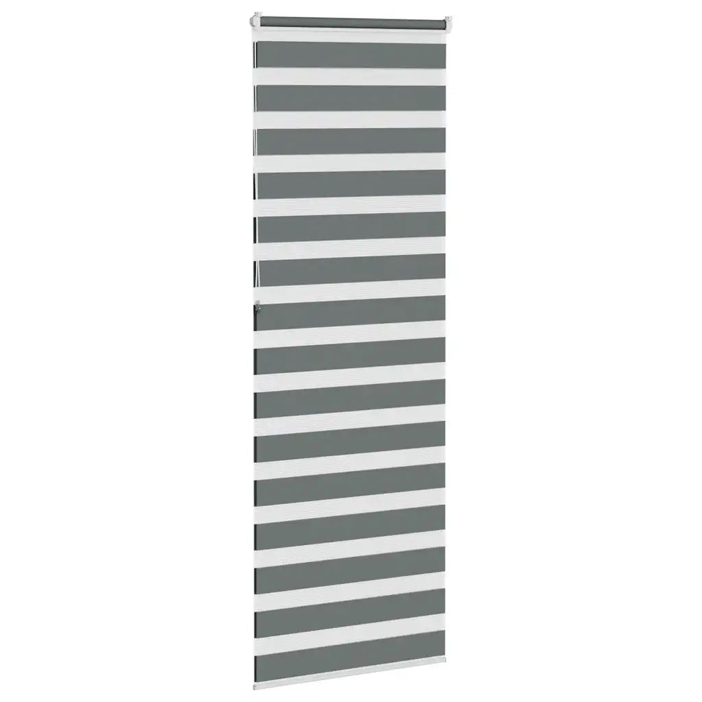 Tenda a Rullo Zebra Larghezza Tessuto 65,9 cm Poliestere 4014177
