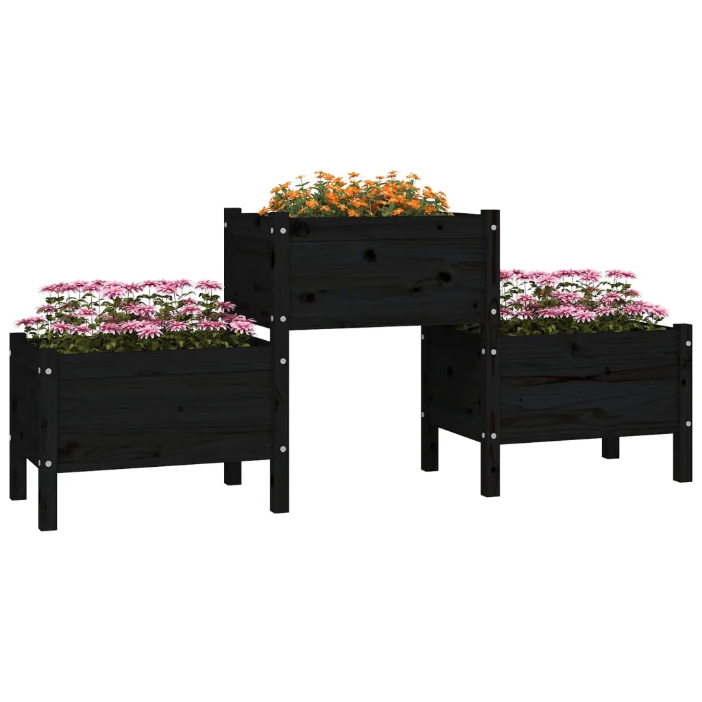 Fioriera | Cassetta per fiori | Vaso Nera 178,5x44x75 cm in Legno Massello di Pino