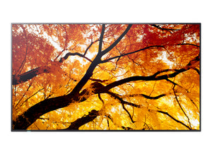 Multisync m322 - 60006052