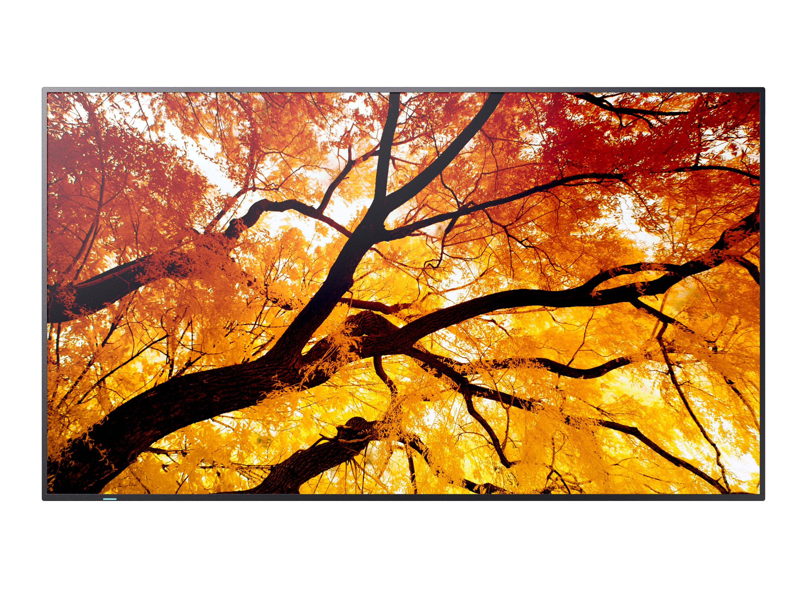 Multisync m322 - 60006052