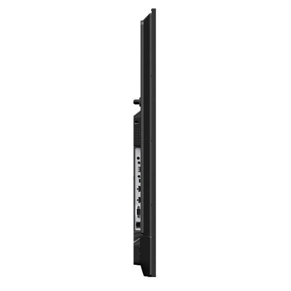 Multisync e559 - 60006183