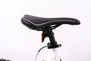 F.LLI SCHIANO RANGE 26" donna mountain bike telaio in alluminio ammortizzata  18 velocitÃ  rosa