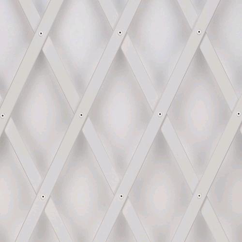Traliccio Grigliato Estensibile in PVC per Piante rampicanti Balcone Giardino terrazza 3x1 mt Bianco