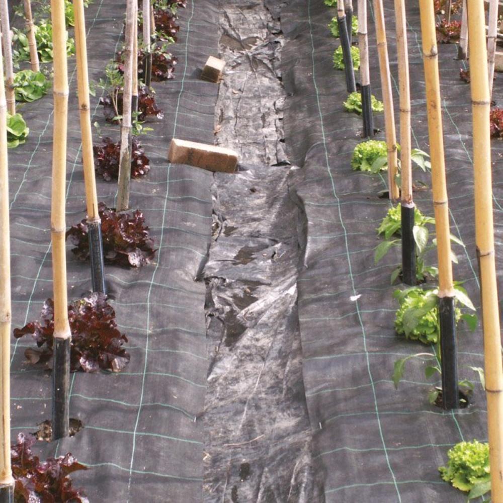 Telo Per pacciamatura Nero 2,10x10 mt 100gr/mq anti erbacce Anti UV Permeabile