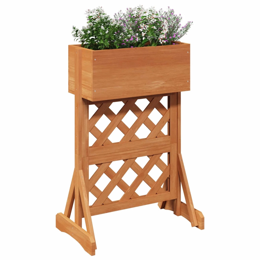Trellis da Giardino Verticale Arancione 48 x 30 x 70,5 cm CFW7512399