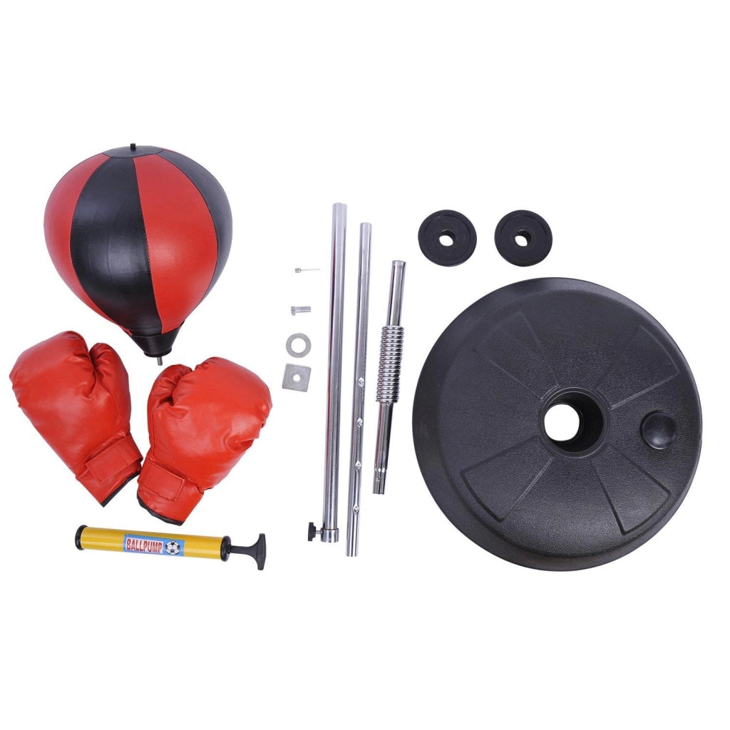Sacco da Boxe Punching Ball con Guantoni e Pompa