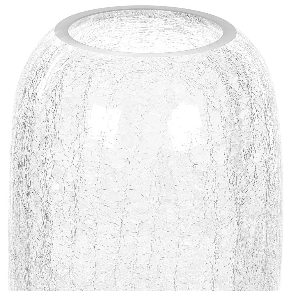 Vaso da fiori di forma rotonda vetro trasparente 28 cm stile moderno minimalista