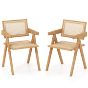 Set 2 Sedie in rattan con telaio naturale in bambù schienale e braccioli-Sedie da pranzo stile mid-century Naturale