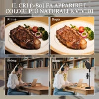 Lampada da Scrivania LED con Supporto per Telefono, 5 Colori di Luce e 10 Luminosità, Nero