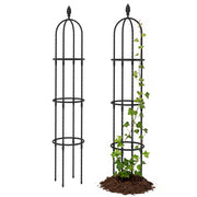 Supporti per Piante Rampicanti Set 2 Pezzi ¨C zephmum ¨C Acciaio Antiruggine Nero 1.7 m
