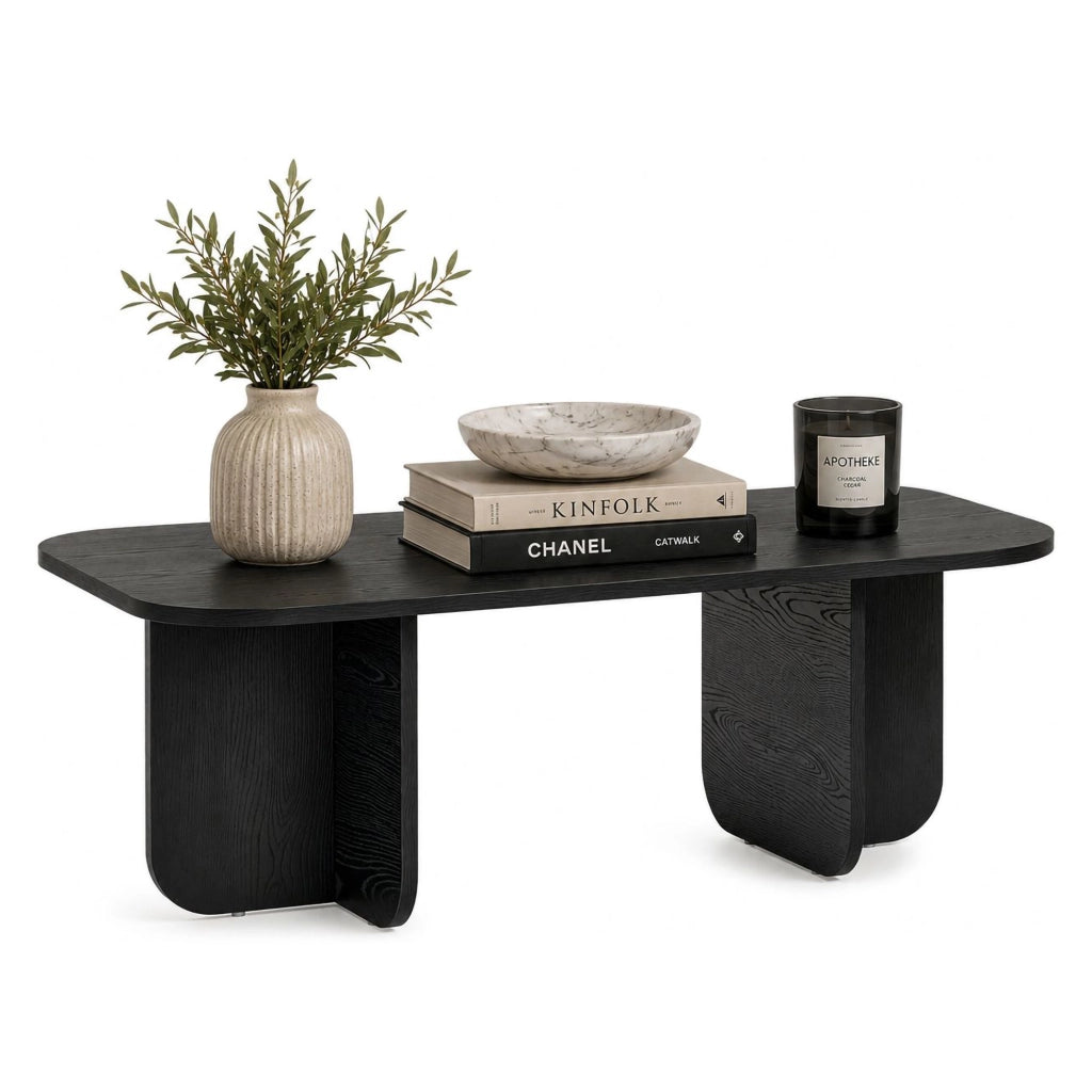 Nomeva, Tavolino da Salotto Forma Rettangolare, 120x60x41h cm Nero Frassinato