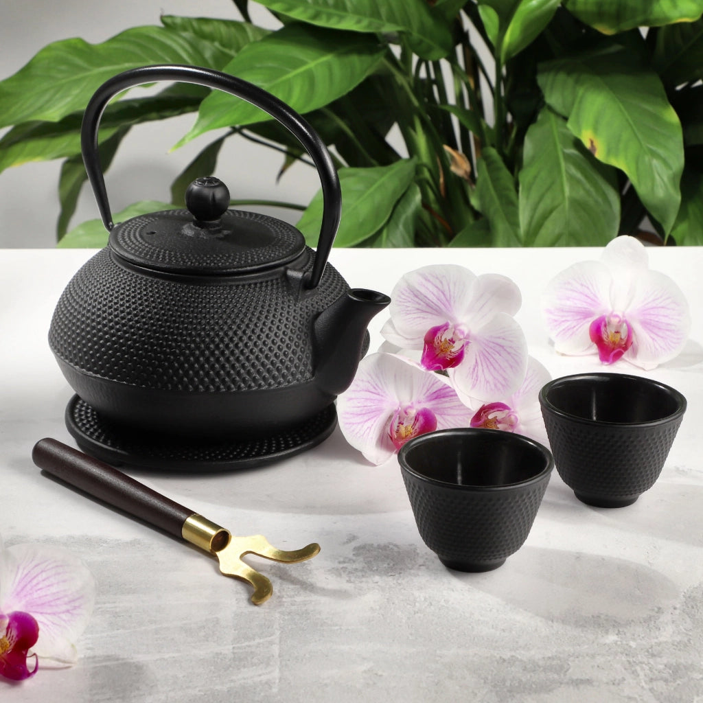 Teiera in ghisa KADAX con infusore per tisane, capacità 850 ml + 2 tazze, colore nero.