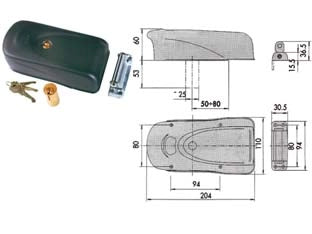ELETTROSERRATURA PER PORTE IN FERRO 1A721  (1A721.00.0)    CISA