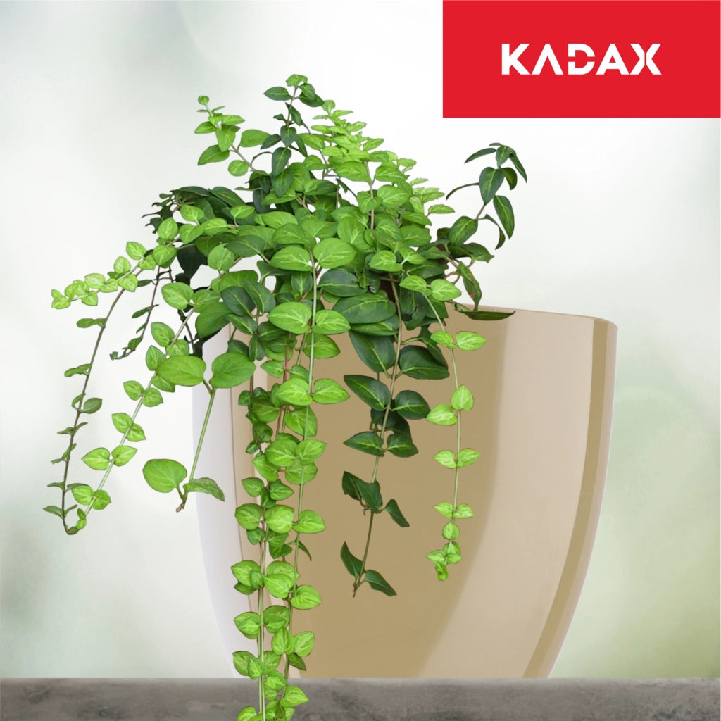 Vaso da fiori KADAX, Vaso da fiori, Quadrato, 16 cm, Plastica, Supporto per fiori, Beige