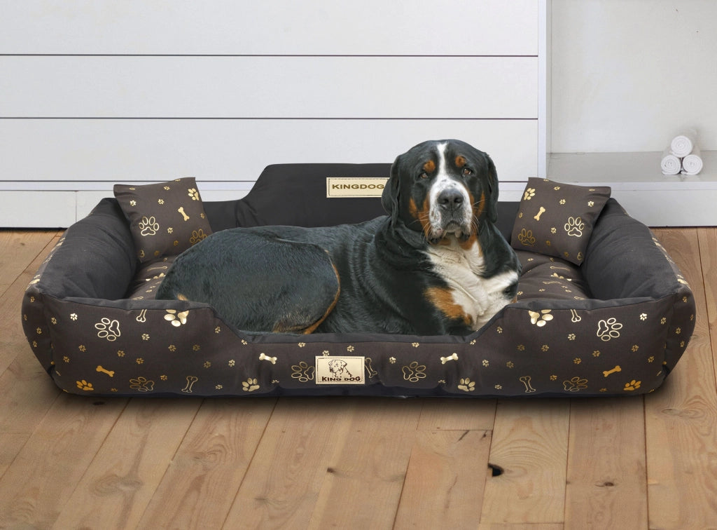 AIO FACTORY 115x95 cm KINGDOG Cuccia per cani impermeabile personalizzabile Golden Bones