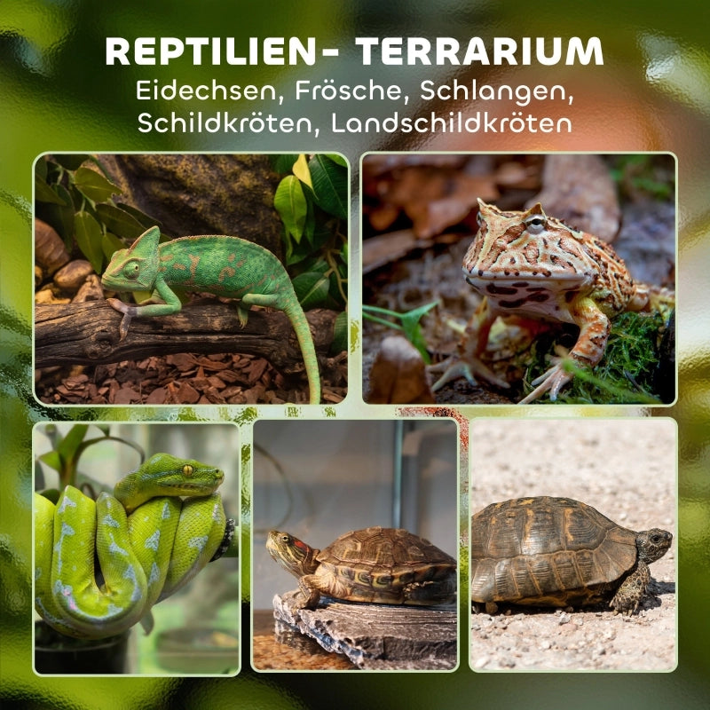 Terrario in vetro per rettili, base rialzata e impermeabile, chiusura a pulsante.