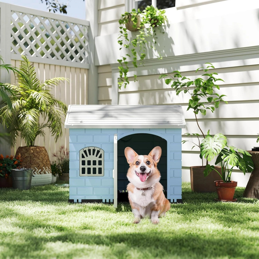 Cuccia per Cani da Esterno ed Interno, Cassetta per Cani con Porta Bloccabile, 3 Finestre e Tetto Inclinato, Cucce per Cagnolino in Plastica Impermeabile (Blu)