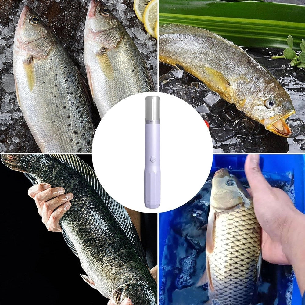 Trade Shop - Raschietto Disincrostante Elettrico Per Squame Pesce Strumento Per Raschiare Portatile -