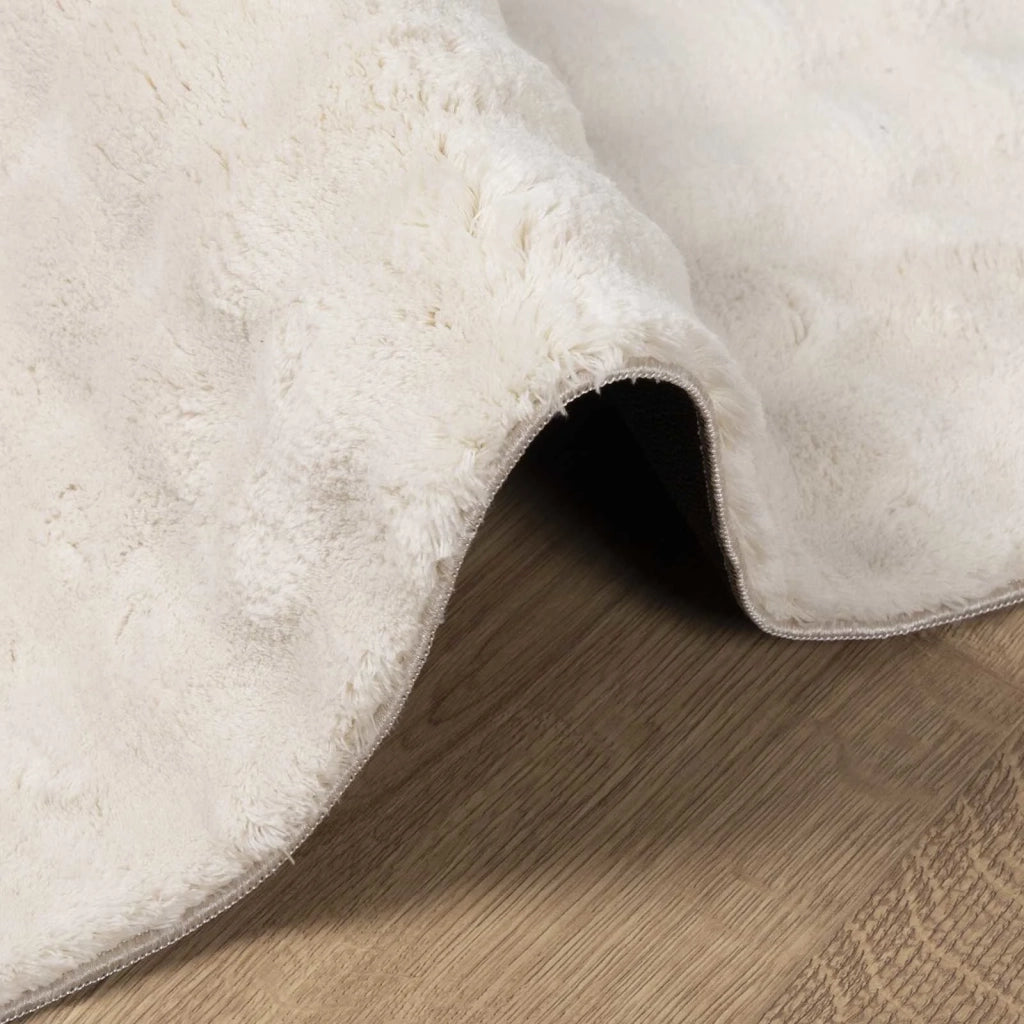 Tappeti per area SIROLO Beige 280 x 200 cm Poliestere