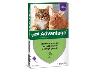 ANTIPARASSITARIO ADVANTAGE PER GATTI E CONIGLI OLTRE KG.4  in conf. da 4 pipette SPOTON    ADVANTAGE