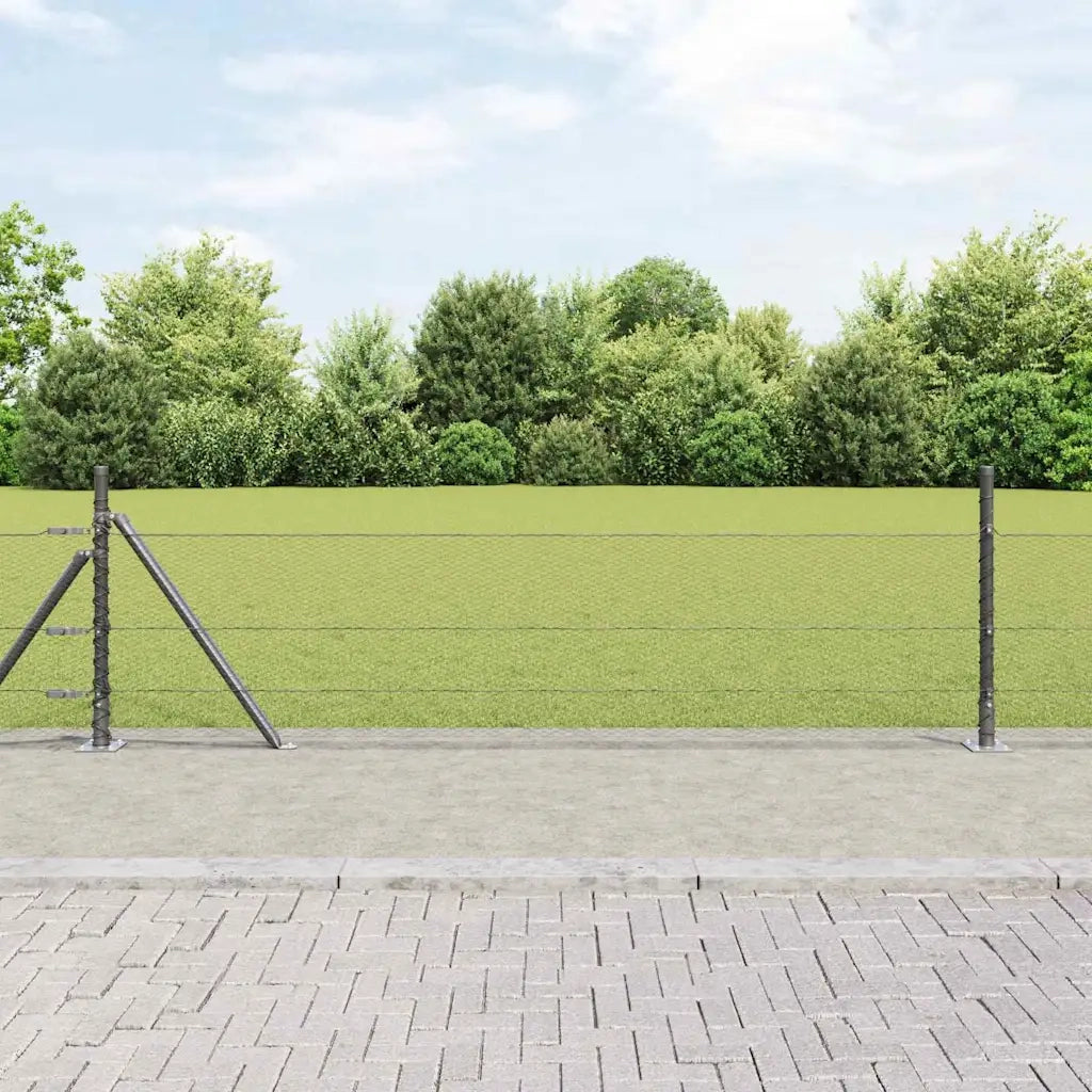 Palo della recinzione Grigio 50 x 0,5 m (maglia 13 mm)
