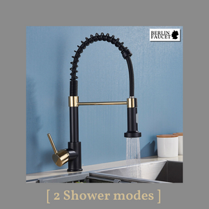 Bernd | Rubinetto Flessibile Catering Black Gold |da cucina in acciaio inossidabile|miscelatore può essere ruotato  360 gradi Alta pressione 2 porte