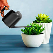 Mini giocatore 300 ml - giocatore in acciaio inossidabile mini con collo lungo per piante da appartamento - metallo nero - piante da vaso e piante da appendere
