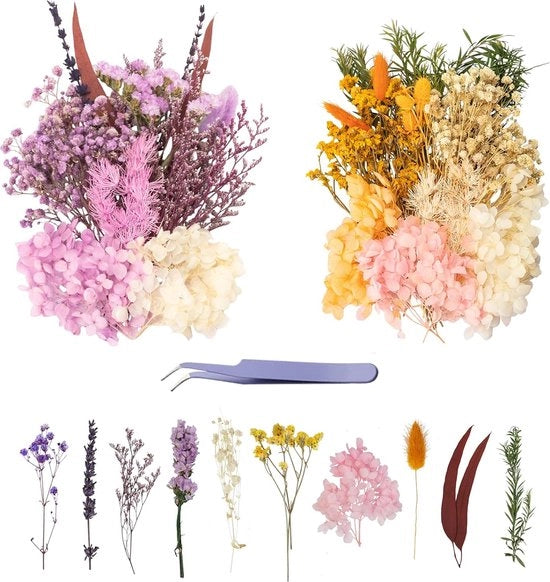 Due set di fiori secchi per artigianato, fiori secchi, fiori secchi, bianchi, viola, fiori secchi, decorazione con spilli per l'arte, artigianato, decorazione