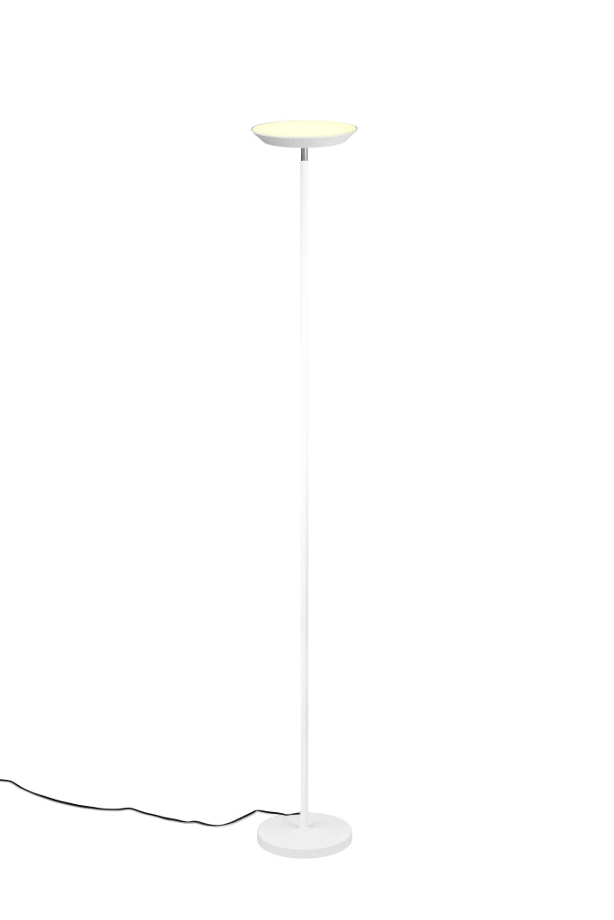 Piantana LED, metallo, bianco, H 180 cm, Specter