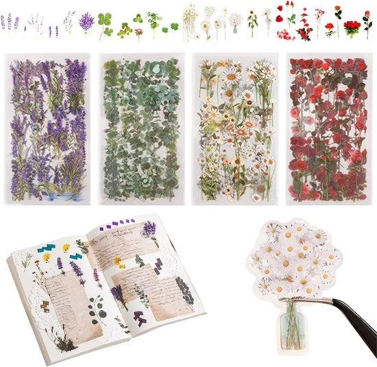 Set di Stickers di Fiori Naturali per Album di Collage DIY - 360 pezzi