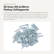 Viti Autoalimentanti in Acciaio Inox 50 pezzi - Capo Piano - Resistente alla Corrosione - per Costruzioni in Acciaio - Alta Resistenza - Facili da Montare