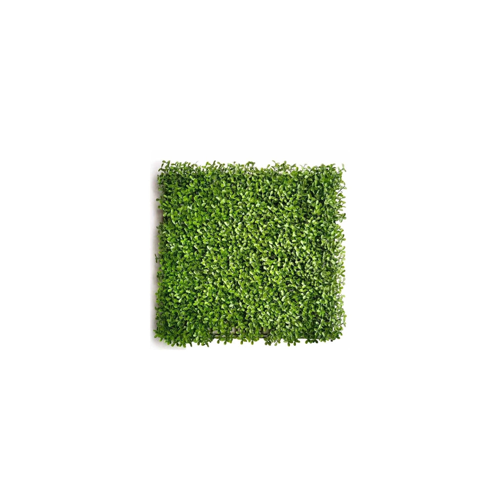 Pianta artificiale da parete - Modello verde - Dimensioni : 50 x 50 cm