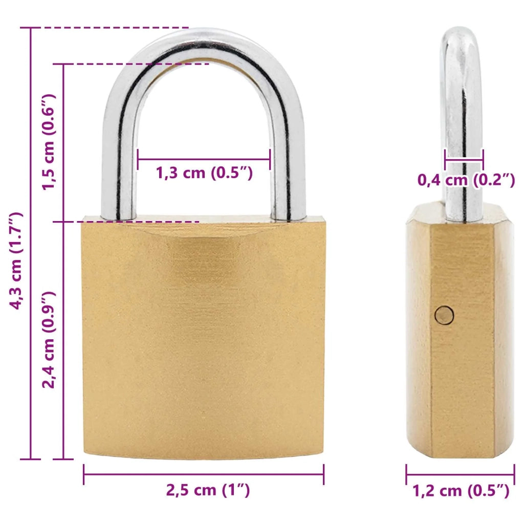 U Lock con Chiavi 6 pz Ottone Ferro CFW1005369