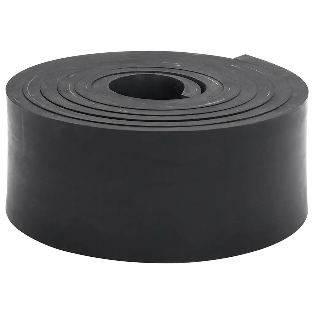 Bordo in Gomma per Spazzaneve Nero 250x8x1 cm
