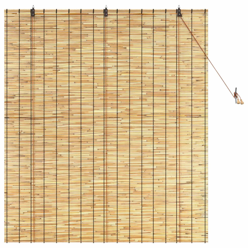Tenda a rullo Naturale 140 x 160 cm Giunco 42034647