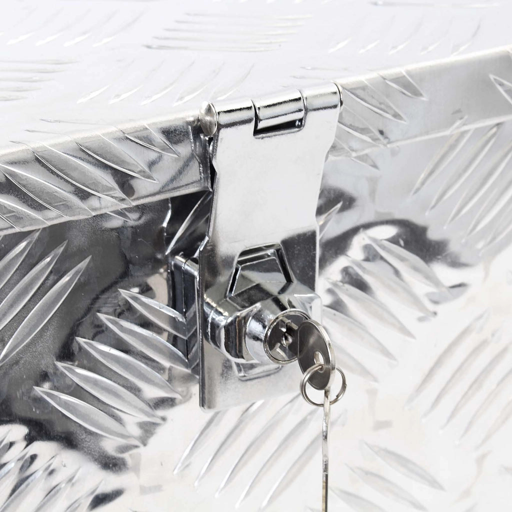 Cassetta portattrezzi in alluminio 50,8x30,5x24cm color silver con chiave