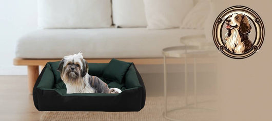 AIO FACTORY 100x75 cm ECCO Cuccia per cani impermeabile verde personalizzabile