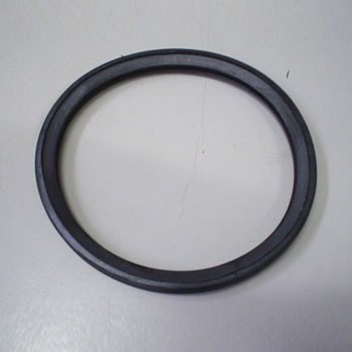 Guarnizione monolabbro d.040 b08 lrmnkyp