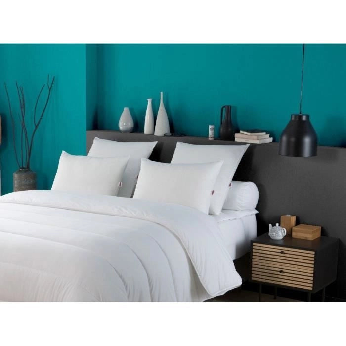 Set di 2 cuscini Trendy 50x70 cm - 100% Poliestere - DODO